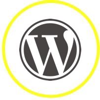 Website design in Kanpur